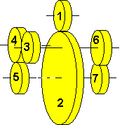 Spur wheel differential